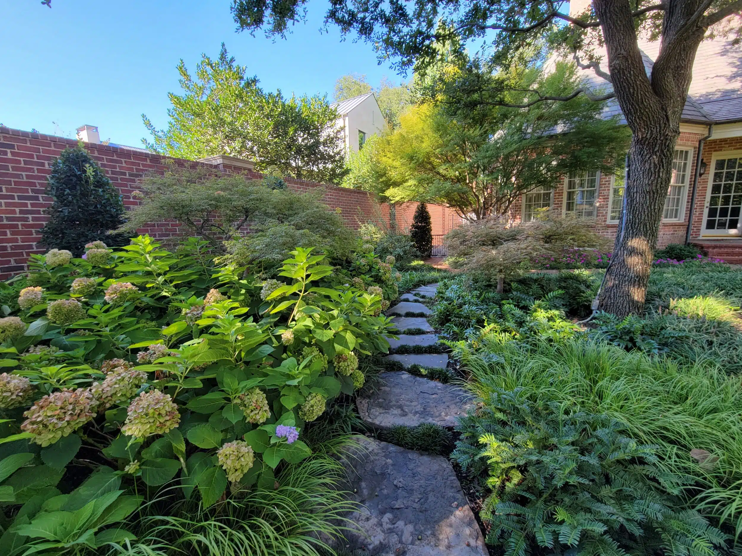Landscape Design Celina